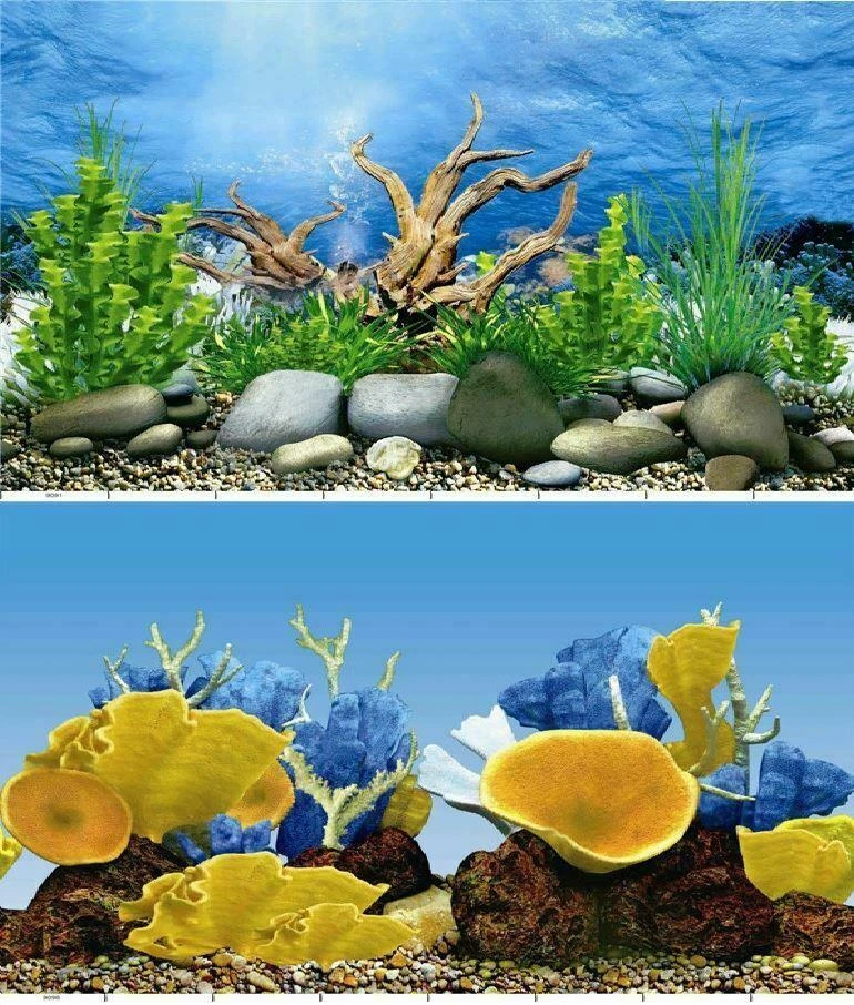 Aquarium Fish Tank Background 2 Sides + Adhesive - 2 to 10 FT