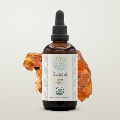 HerbEra Guggul Alcohol-FREE Tincture, Organic Guggul (Commiphora Mukul) - Picture 3 of 15