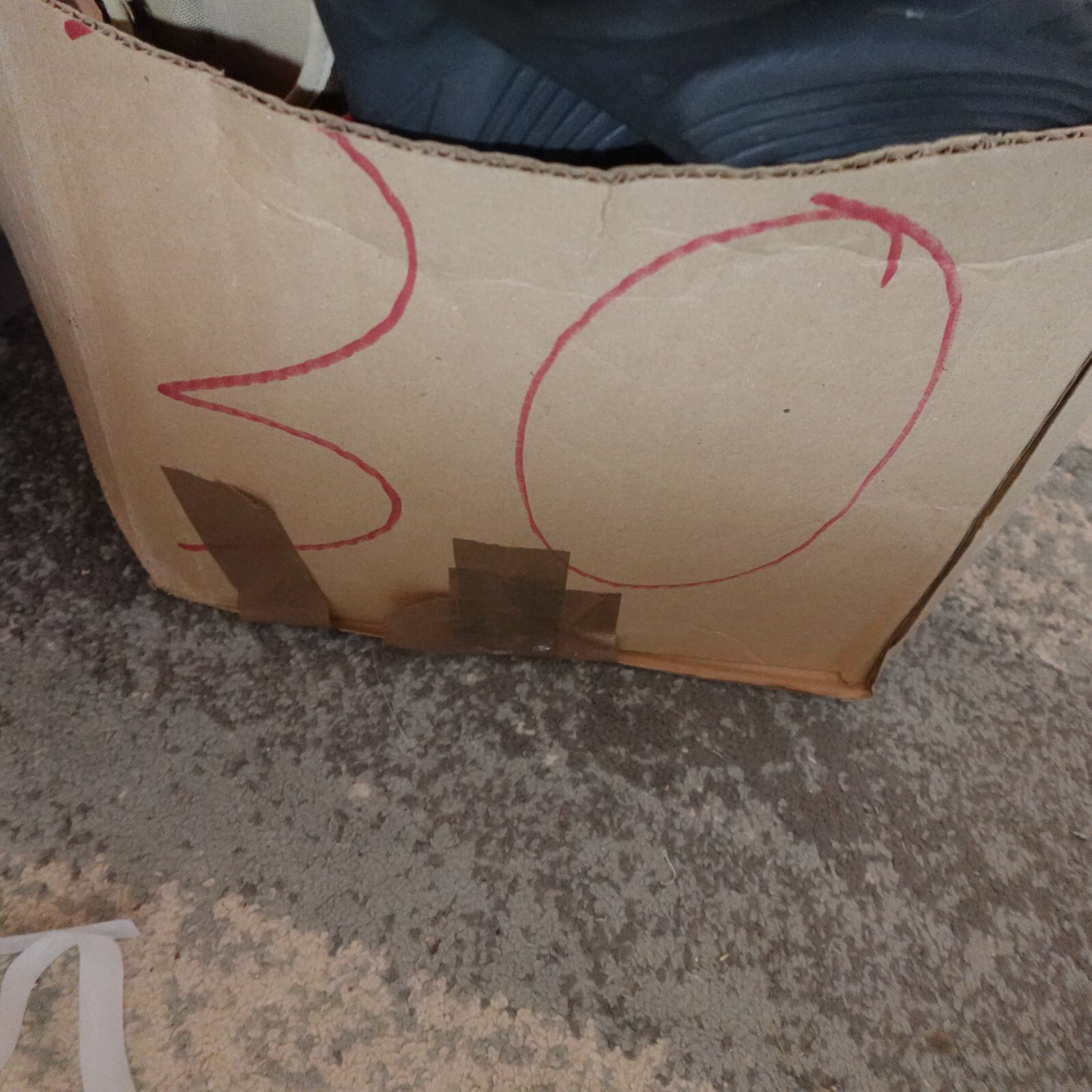 Picture 20 of 20