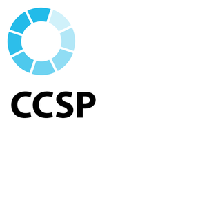 CCSP日本語版試験解答