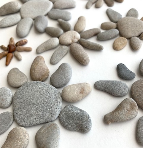 9 sets Flower Daisy Sun Spider Rocks Natural Beach Stone Garden Art Sign Craft - Picture 12 of 12