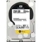 Discos duros internos IDE para ordenadores y tablets con 250GB de almacenamiento