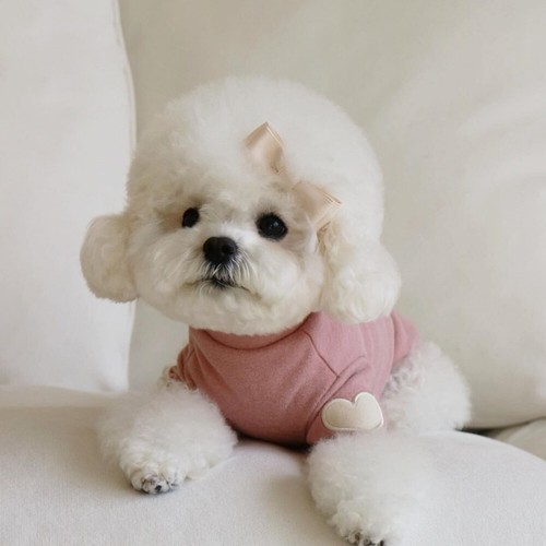 Pet Dog Warm Coat Jacket Jumper Sweater Winter Clothes Puppy Vest Hoodie Outfit - Picture 17 of 57