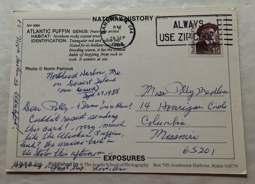 Atlantic Puffin. Postcard (R2) - Picture 2 of 2