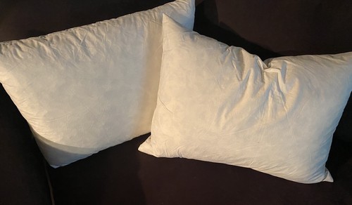 Pillows Decorated Feathers New York Graphite 100% Cotton - Picture 11 of 11