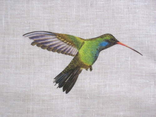 HARLEQUIN CURTAIN FABRIC DESIGN "Amazilia" FLAMINGO/PAPAYA/APPLE 2 METRES VOILE - Picture 6 of 6