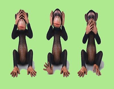 METAL MAGNET Monkeys Speak Hear See No Evil Banana Humor Monkey MAGNET 