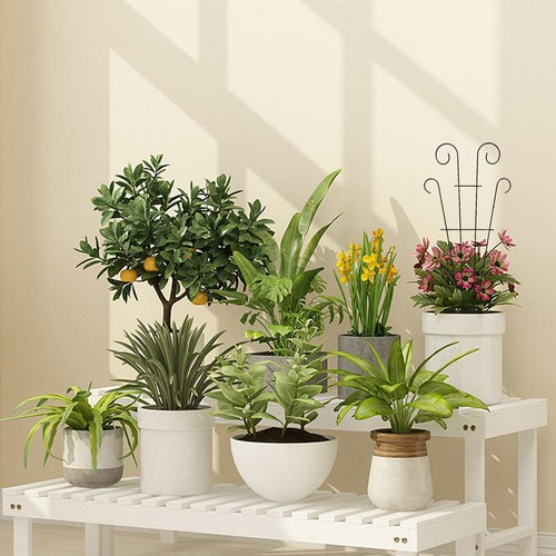 2Pcs Metal Garden Plant Climbing Frame Indoor Plant Trellis Houseplants Support - Picture 3 of 7