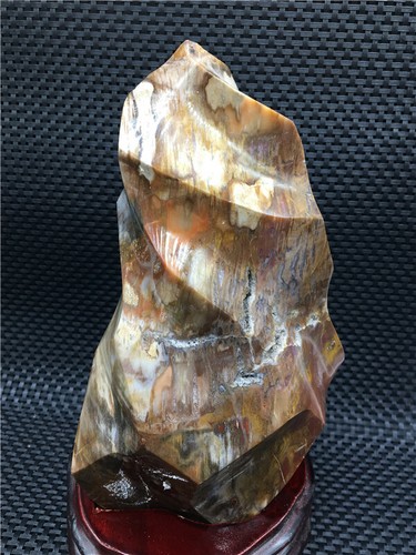 2759g schönes versteinertes Holz Fossil Kristall Einrichtungsartikel + Ständer U272 - Bild 7 von 11