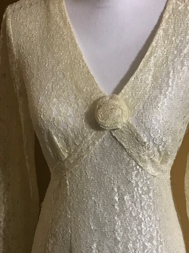 Sarah Richards Bohemian Lace Vintage Gown Sz 12 - Bild 4 von 4