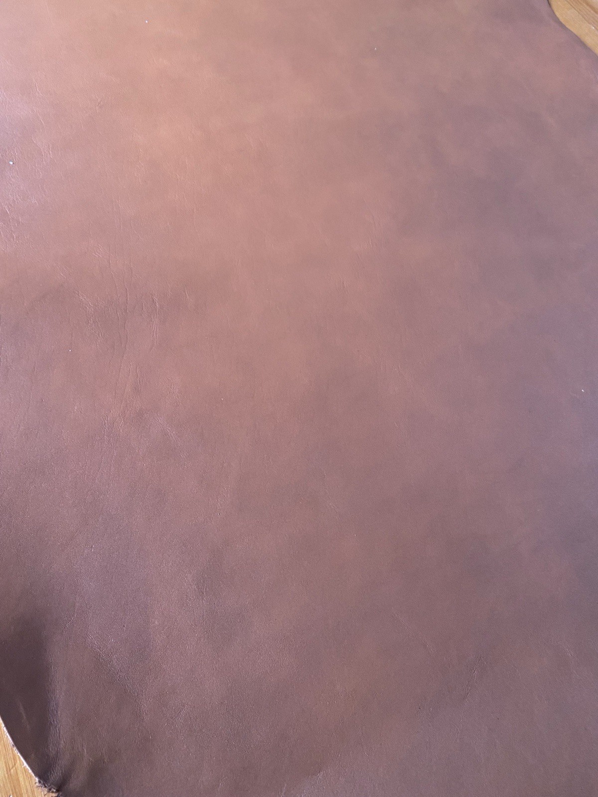 Picture 4 of 12