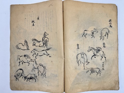 Japanese Drawing Book “Tsukiokasha” Drawn by Ukiyoe artist Tsukioka Settei - Picture 17 of 24