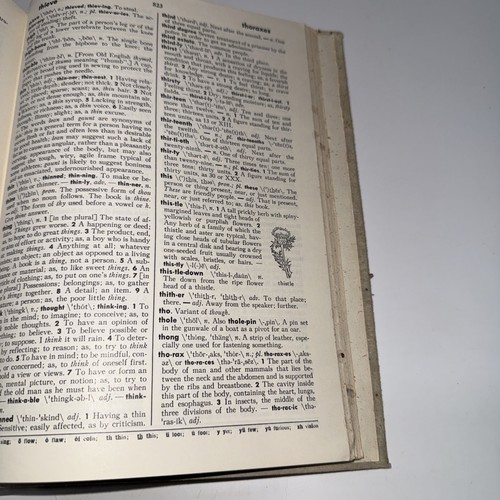 Websters new prodigal school dictionary 1964 A Merriam Webster - Picture 16 of 17