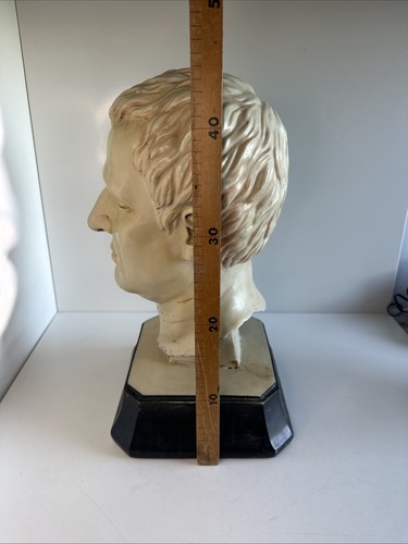 Wonderful STAND OUT Head Bust - Talking piece - Picture 15 of 17