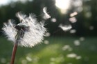 chasingafterwind
