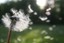 chasingafterwind