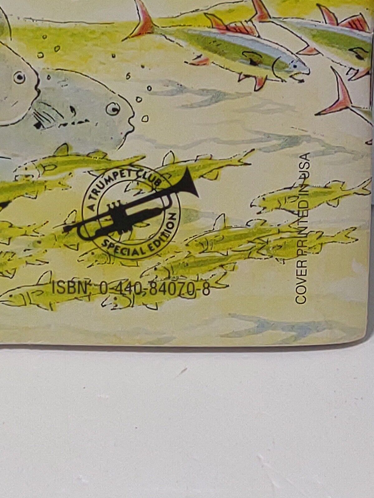 Picture 3 of 13