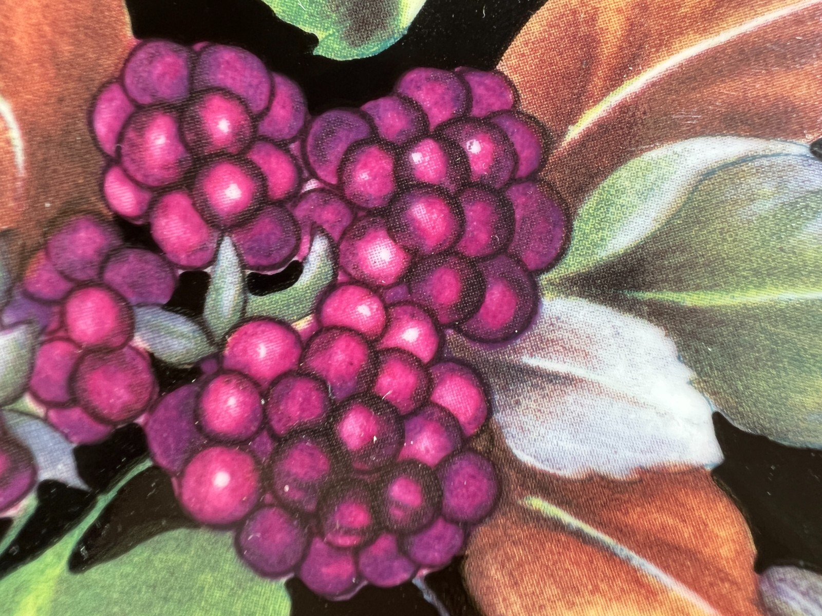 Philippe Deshoulieres Limoges Set Of 2 Canapé Plates Tropical Fruits