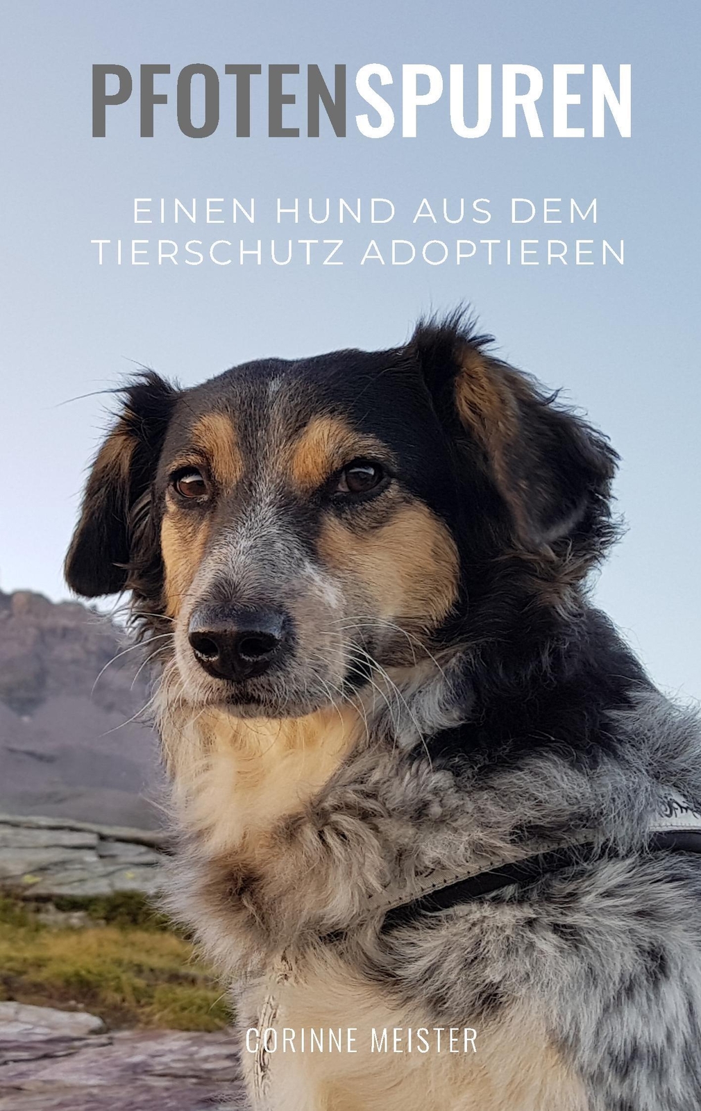 Pfotenspuren | Corinne Meister | Einen Hund Aus Dem Tierschutz
