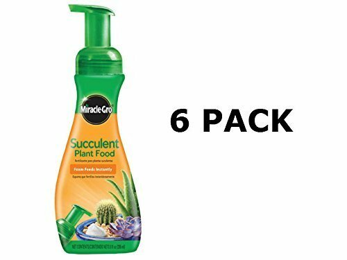 Succulent Plant Fertilizer in Pump Bottle for Cacti / Jade / Aloe & More  (6ct) | eBay