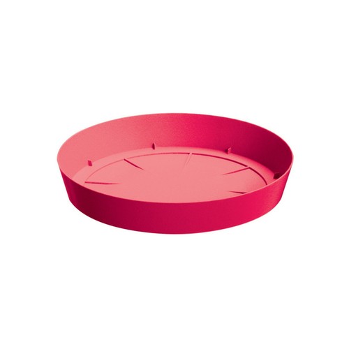 Sottovaso vaso da fiori ciotola in plastica fioriera 8 colori piatto rotondo - Foto 14 di 19