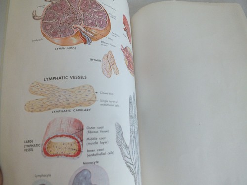 Atlas of the human body booklet in trans vision family medical guide Better Home - Picture 2 of 4
