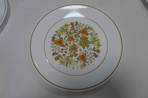 Corning Corelle Indian Summer 8-1/2" Mittagspeisen 6er Set - Bild 2 von 16