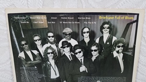 BLUES BROTHER BRIEFCASE FULL OOF BLUES ALBUMS VINYL RECORD 1978 - Imagen 12 de 17