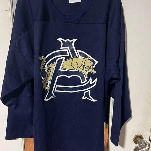 Navy and gold vintage hockey jersey - Picture 1 of 2
