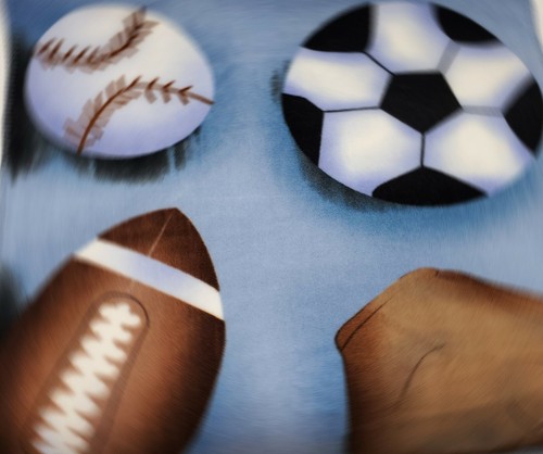 Blankets & Beyond Baby Blanket Boy Sports Baseball Football Soccer Blue B44 - Picture 8 of 8