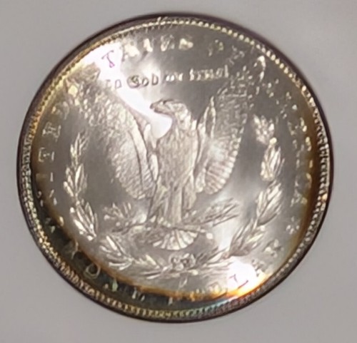 1880-S NGC MS65 Star Rainbow Toned Morgan Silver Dollar PQ Frosty Gem Beauty - Picture 4 of 7