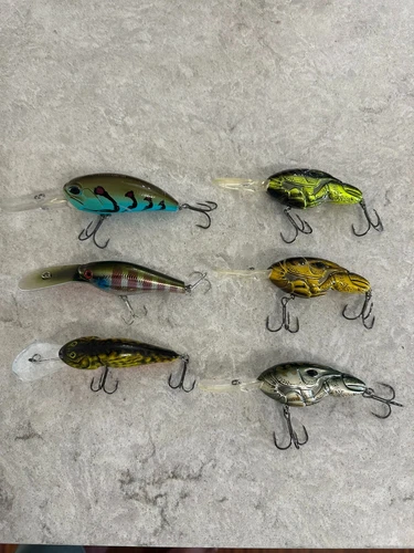 Duo Realis, Salmo, Tiemco, Koppers Live Target Crankbaits