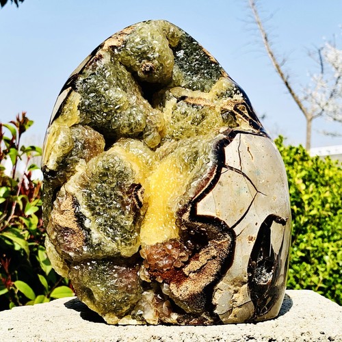14.16LB Natural Turtle Back Stone Dragon Crystal Cave Crack Gem Healing - Picture 14 of 14