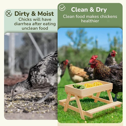 DIY Holz-Hühner-Picknicktisch-Futterspender-Set für Hühnerstall-Zubehör - Bild 2 von 12