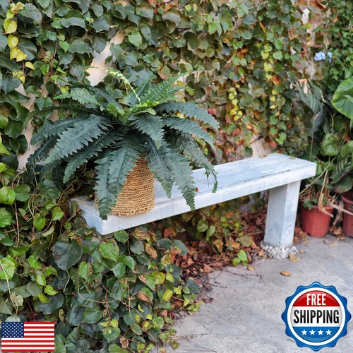CongfuHepMui Artificial Ferns for Outdoors and Indoors 33" Spread, 2 Stems La - Picture 5 of 5