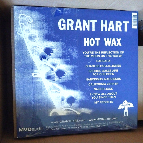 NEW Grant Hart Lp Hot Wax vinyl Record ex Husker Du solo - Foto 2 di 2