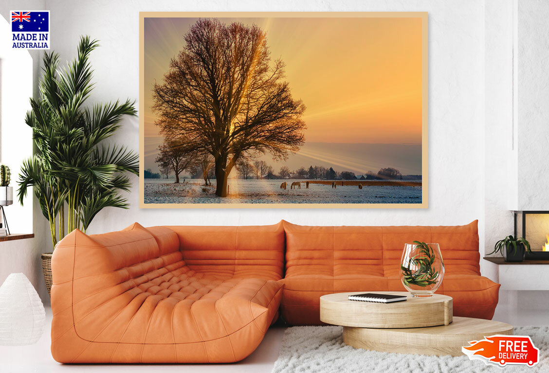 (Laminated) Tree at Sunset Photograph 91x61cm