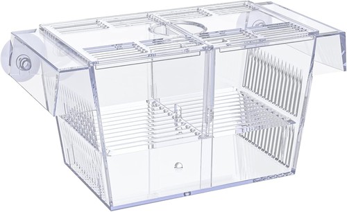 Lightweight Fish Breeding Tank with Floating Design - Ideal for Betta and Guppy - Picture 3 of 9
