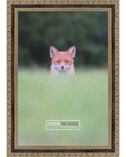 Classic Gold Picture Frame - UV Acrylic,Backing, Hanging Hardware