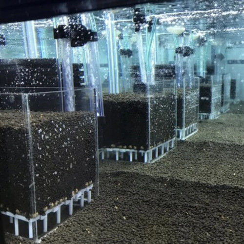Acrylic Shrimp Fish Tank Filter System Aquarium Box Under Gravel Filter Box New - Picture 17 of 19