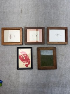 Vintage Insect & Lobster Natural History Print Lot Framed Miniature Wall Decor