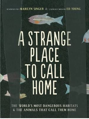 A Strange Place to Call Home, Ed Young,  Paperback
