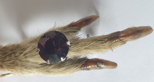 VINTAGE GROUSE FOOT BROOCH WITH AMETHYST CRYSTAL RING AND CAP - Picture 4 of 6