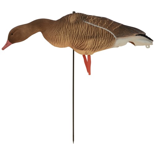 Nitehawk Sitting & Feeding Greylag Goose Decoys Realistic Shooting/Hunting Geese - Picture 6 of 6