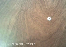 CUCKOO CLOCK MUSIC BOX FAN ASSEMBLY DRIVE GEAR