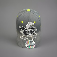 University of Miami Hurricanes Zephyr Mascot ...