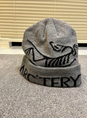 ARC'TERY bird head toque beanie Orca ② s-l400.jpg