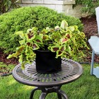 Nonwoven Polypropylene Fabric Grow Bag with Handles - 7 gallon by Sunnydaze