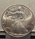 1996 American Silver Eagle 1 oz  uncirculated with light purple toning