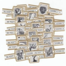 24 Cigar Bands Posthoorn Animals Grey Issued in 1977 Collectible Set